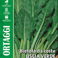 Swiss Chard - Liscia Verde Da Taglio - Royal Seed RYMO14/1 Garden Plus