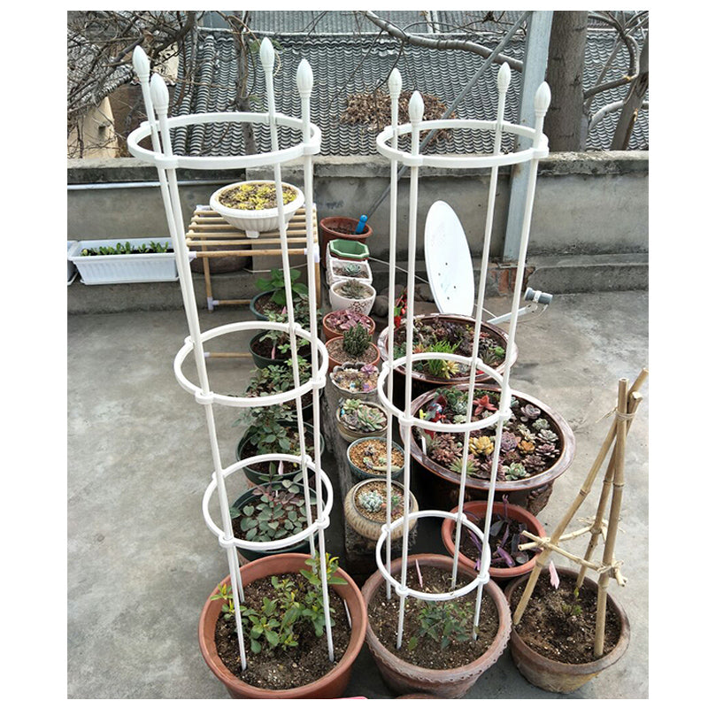 Plant Support & Cage Garden Plus