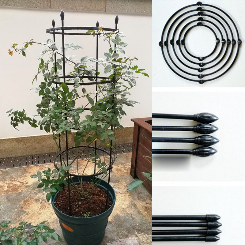 Plant Support & Cage