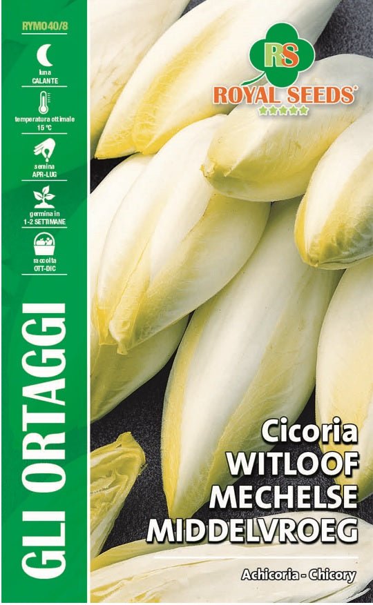 Achicoria Chicory - Royal Seed RYMO40/8 Garden Plus