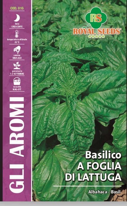 Albahaca Basil - Royal seed RYMA13/3 Garden Plus