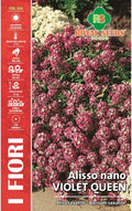 Alyssum Dwarf Voilet Royal Carpet- Royal Seed RYMF301/3 Garden Plus