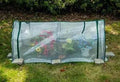 Arched Freeze Insulation Cover Plant Greenhouses Garden Plus