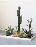 Artificial Landscape Set Tropical Cactus Planter Flower Decoration Piece Garden Plus