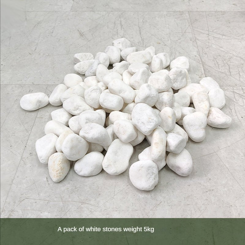 Artificial Landscape Set Tropical Cactus Planter Flower Decoration Piece Garden Plus