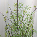 Artificial Pool Bionic Flowers and Plants Decoration Pieces Garden Plus
