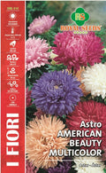 Aster Double Flower Beatuy of Amercia Mix - Royal Seed RYMF304/1 Garden Plus