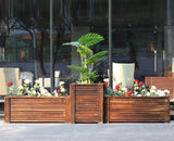 Rectangular Horizontal Planting Box Garden Plus