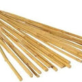Bamboo sticks Garden Plus