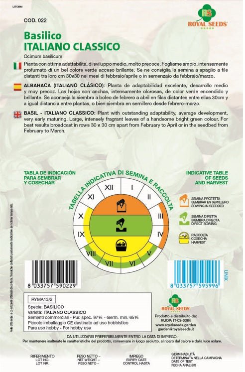 Basil Classico Italiano - Royal seed RYMA13/2 Garden Plus