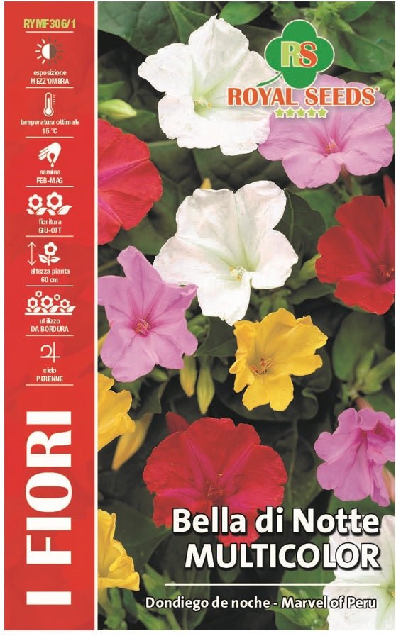 Bella di Notte Multicolor - Royal Seed RYMF306/1 Garden Plus