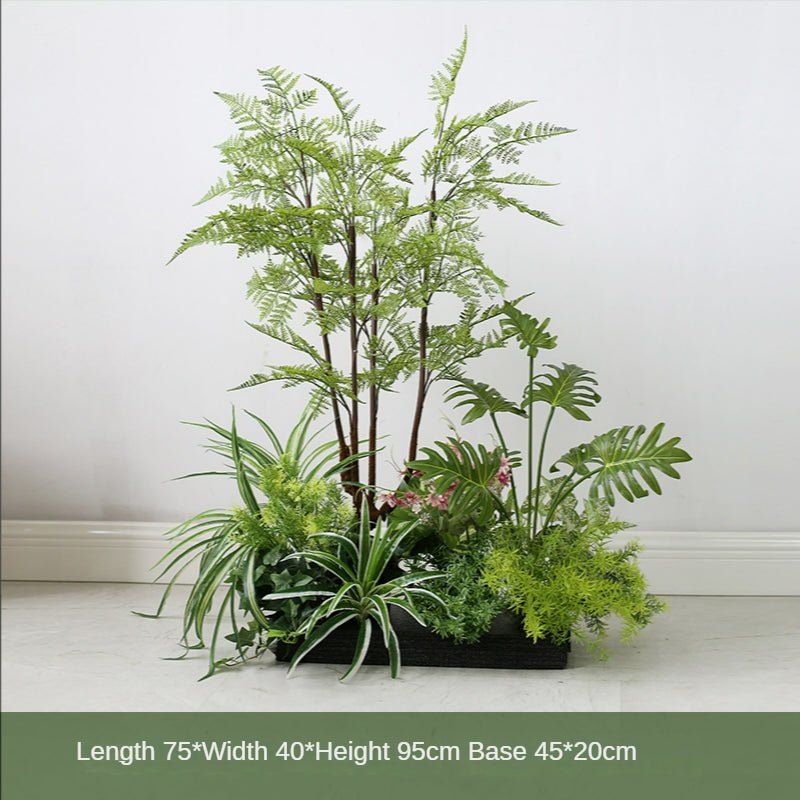 Bonsai Botanical Garden View Plant Decoration Piece Garden Plus