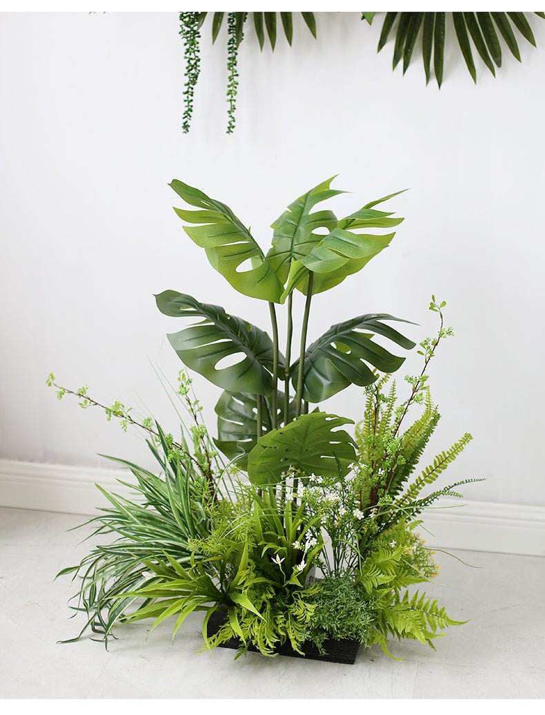 Bonsai Botanical Garden View Plant Decoration Piece Garden Plus