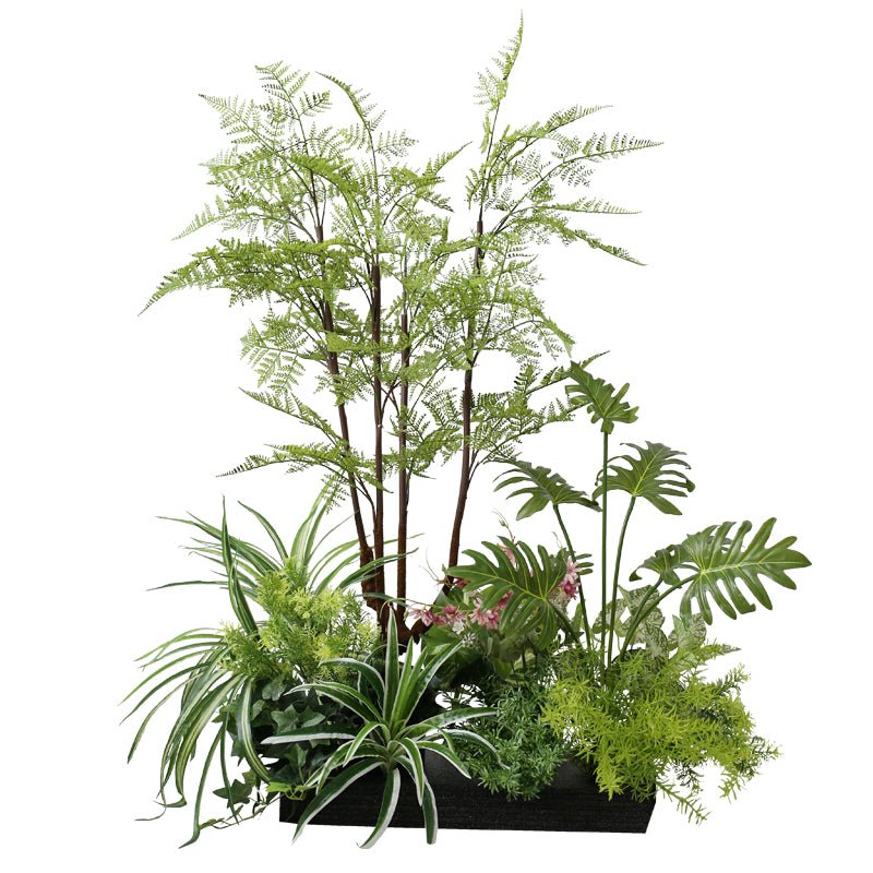 Bonsai Botanical Garden View Plant Decoration Piece Garden Plus