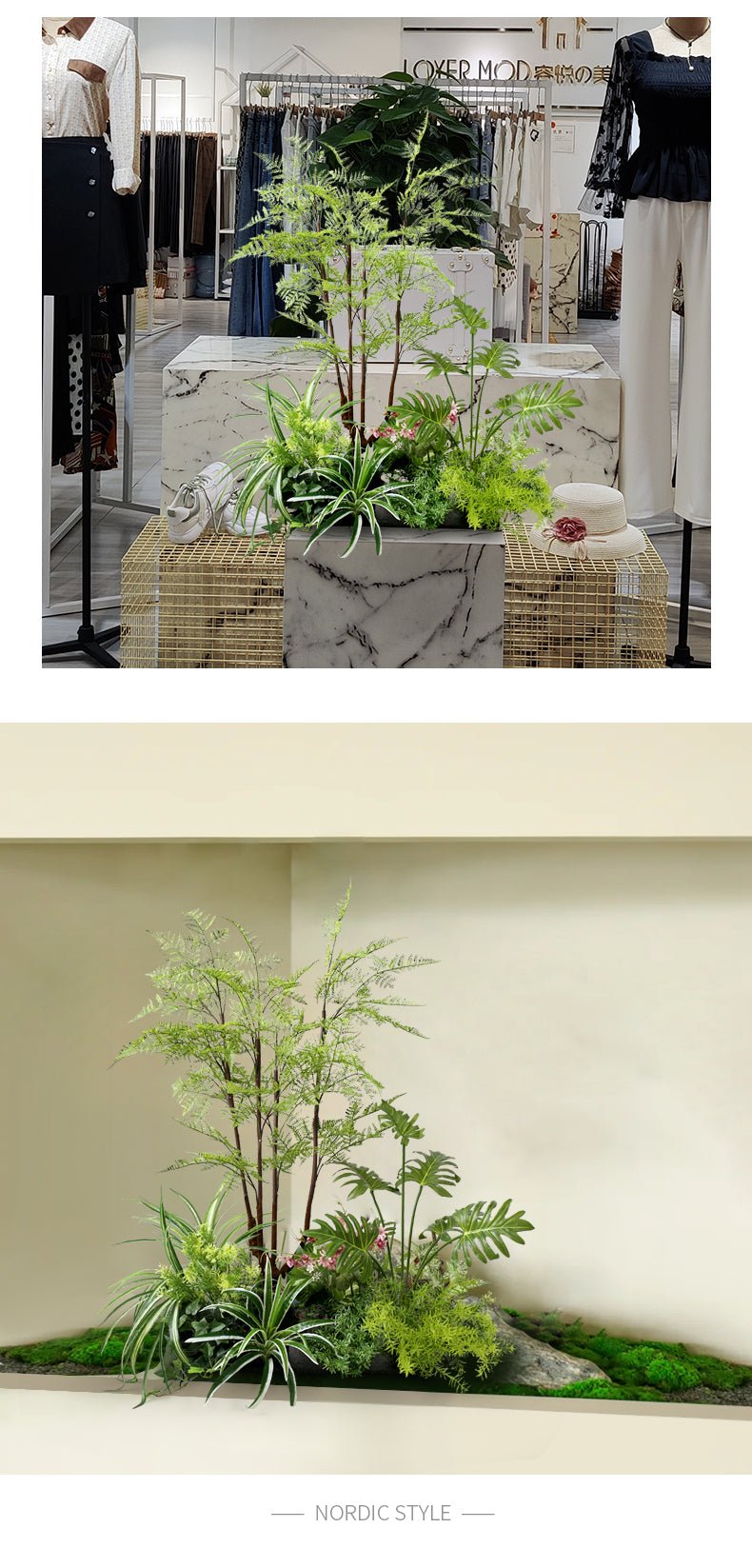 Bonsai Botanical Garden View Plant Decoration Piece Garden Plus
