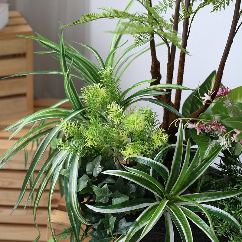 Bonsai Botanical Garden View Plant Decoration Piece Garden Plus