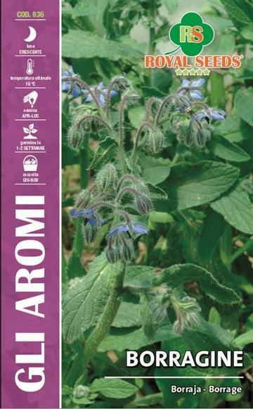 Borage/Borragine- Royal Seed RYMA16/1 Garden Plus