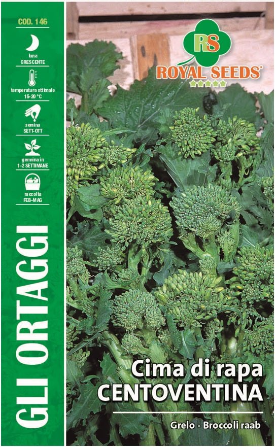 Broccoli Raab Centoventina Royal Seed RYM81/9 Garden Plus