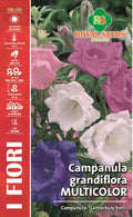 Campanula Canterbury Bells - Royal Seed RYMF310/1 Garden Plus