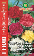 Carnation Chabaud Teichier Stain Mix - Royal Seed RYMF325/1 Garden Plus