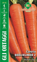 Carrot - Royal Seed RYMO23/15 Garden Plus