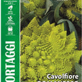 Cauliflower Romanesco San Giuseppe - Royal Seed RYMO30/58 Garden Plus