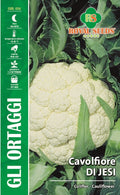 Cauliflower - Royal Seed RYMO30/15 Garden Plus