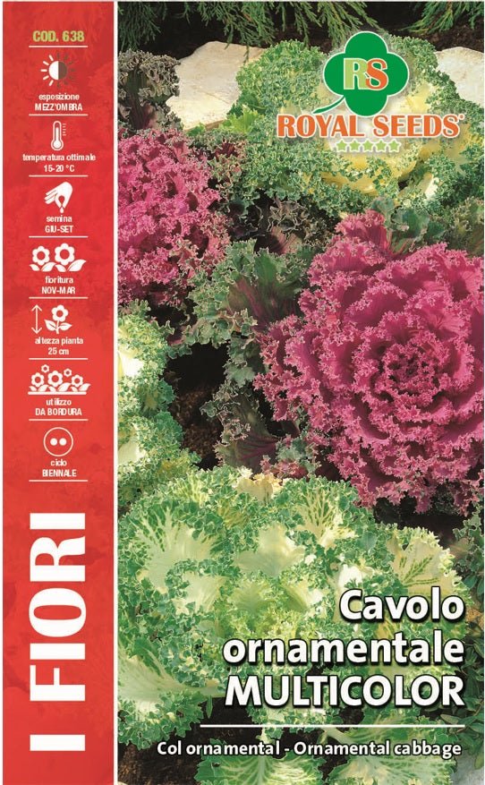 Cavolo Ornamental Cabbage - Royal Seed RYMF311/1 - COD.638 Garden Plus