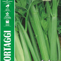 Celery- Royal Seed RYM124/6 - COD.394 Garden Plus