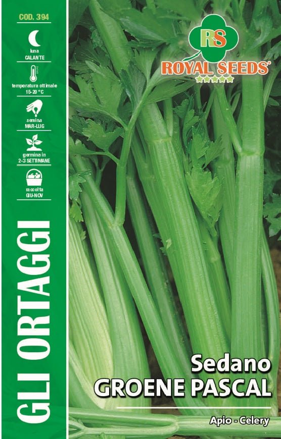 Celery- Royal Seed RYM124/6 - COD.394 Garden Plus