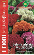 Celosia Cristata Cockscomb Mix- Royal Seed RYMF312/1 Garden Plus