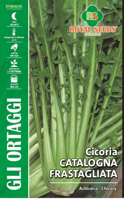 Chicory- Catalogna Frastagliata - Royal Seed RYMO40/81 Garden Plus