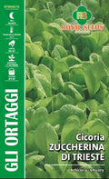 Chicory - Zuccherina Di Trieste - Royal Seed RYMO40/18 Garden Plus