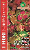 Coleus Rainbow Mix - Royal Seed RYMF314/1 Garden Plus