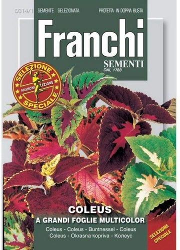 Colues - Grandi foglie multicolor -Franchi D314/1 Garden Plus