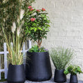 Cone Style - QG-003 Garden Plus