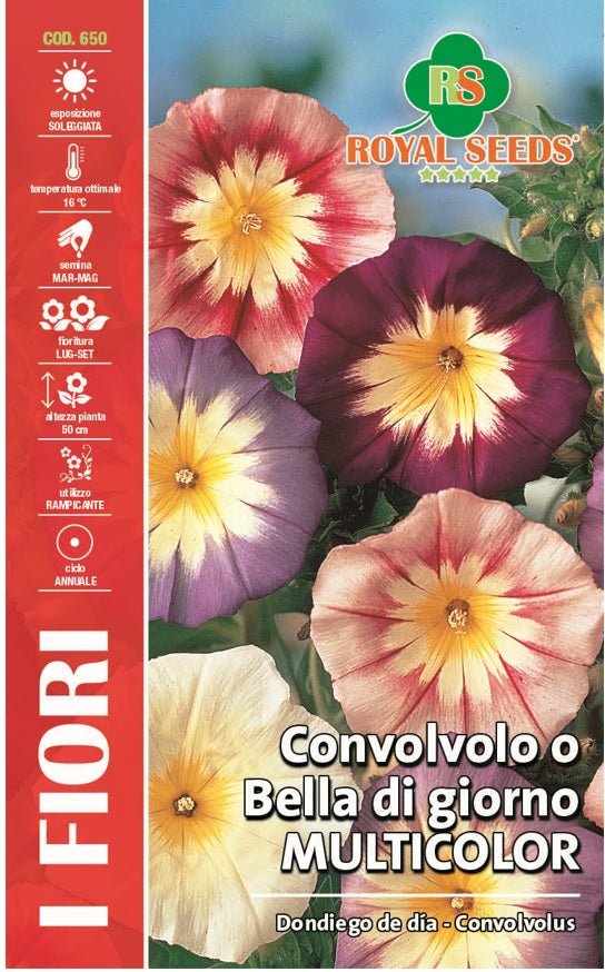 Convovolus Cllimbing “BELLA DI GIORNO” - Royal Seed RYMF315/1 - COD.650 Garden Plus
