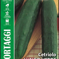 Cucumber - Pepino - Royal Seed RYMO37/7 Garden Plus