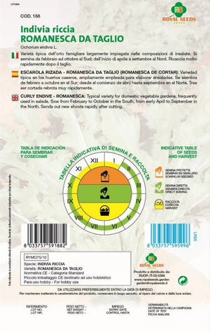 Curly Endive - Romanesca - Royal Seed RYMO75/10 - COD.188 Garden Plus