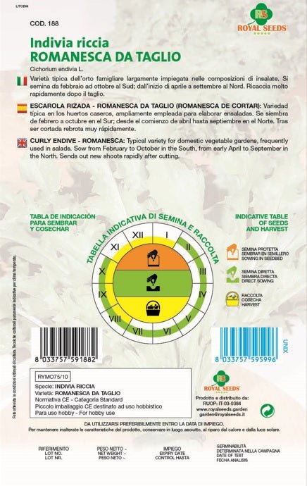 Curly Endive - Romanesca - Royal Seed RYMO75/10 - COD.188 Garden Plus