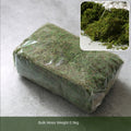 Large Green Simulation Fern Pool Flowers and Plants Set Decoration Piece Garden Plus