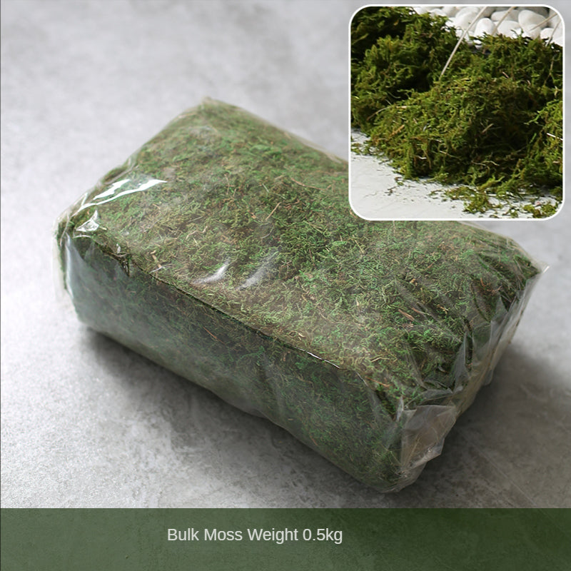 Large Green Simulation Fern Pool Flowers and Plants Set Decoration Piece Garden Plus