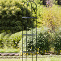 Iron Clematis Climbing Flower Stand Garden Plus