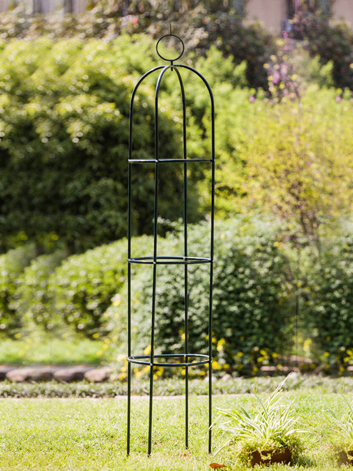 Iron climbing plant trellis