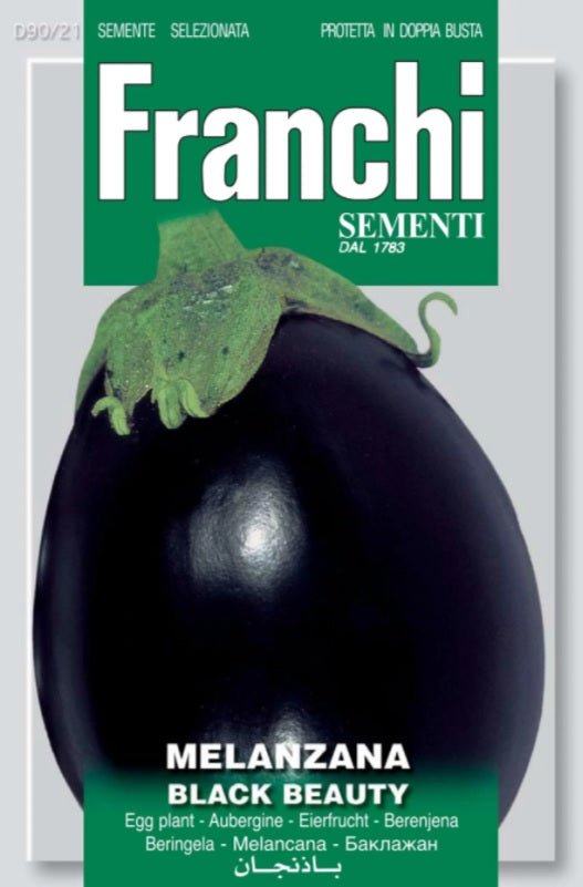 Egg Plant Aubergine Black Beauty - Franchi Garden Plus