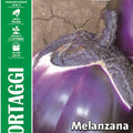 Eggplant Violet of Florence - Royal Seed RYMO90/7 - COD.270 Garden Plus