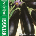 Eggplant Violet of Rimni 3 - Royal Seed RYMO90/1 - cod.272 Garden Plus