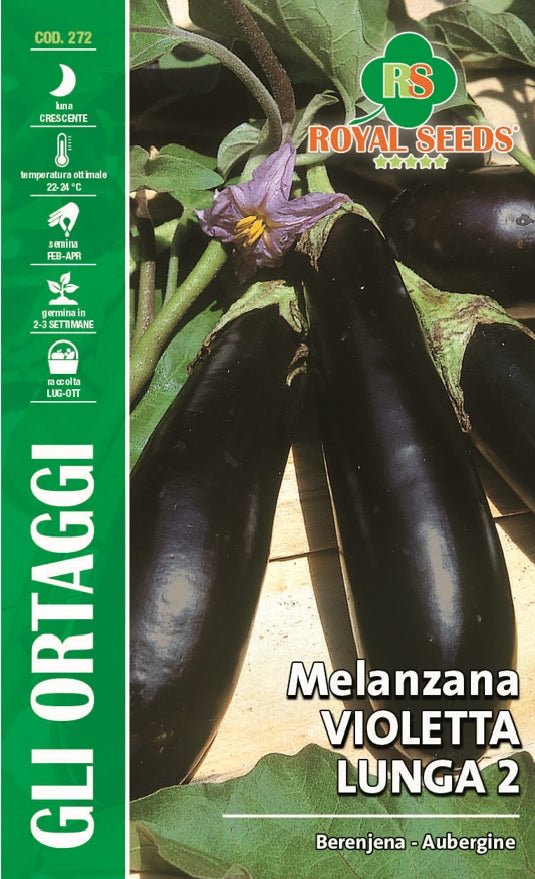 Eggplant Violet of Rimni 3 - Royal Seed RYMO90/1 - cod.272 Garden Plus