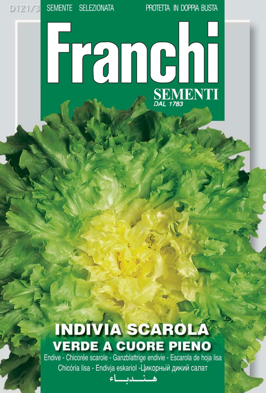 Endive Escarole Scarola Verde - Frachi D121/3 Garden Plus