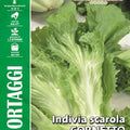 Escarole Endive- Royal Seed RYM121/5 Garden Plus
